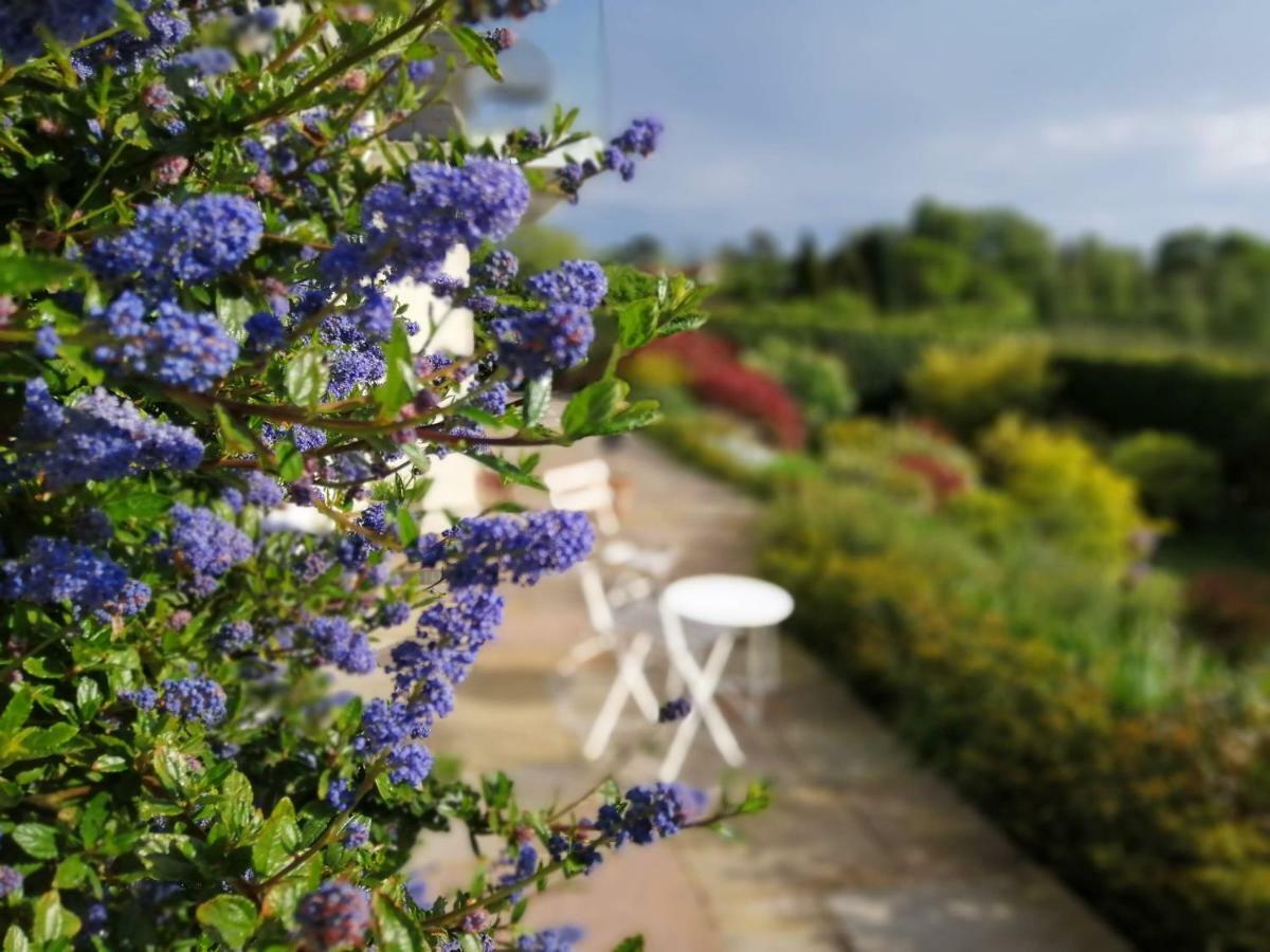 Meadow Cottage Bed & Breakfast Hawkhurst Eksteriør bilde